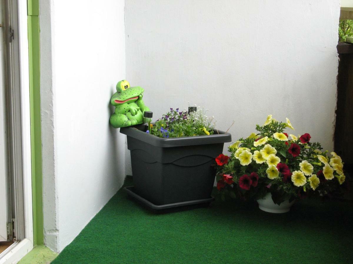 קורסארה Gratarre Apartment מראה חיצוני תמונה